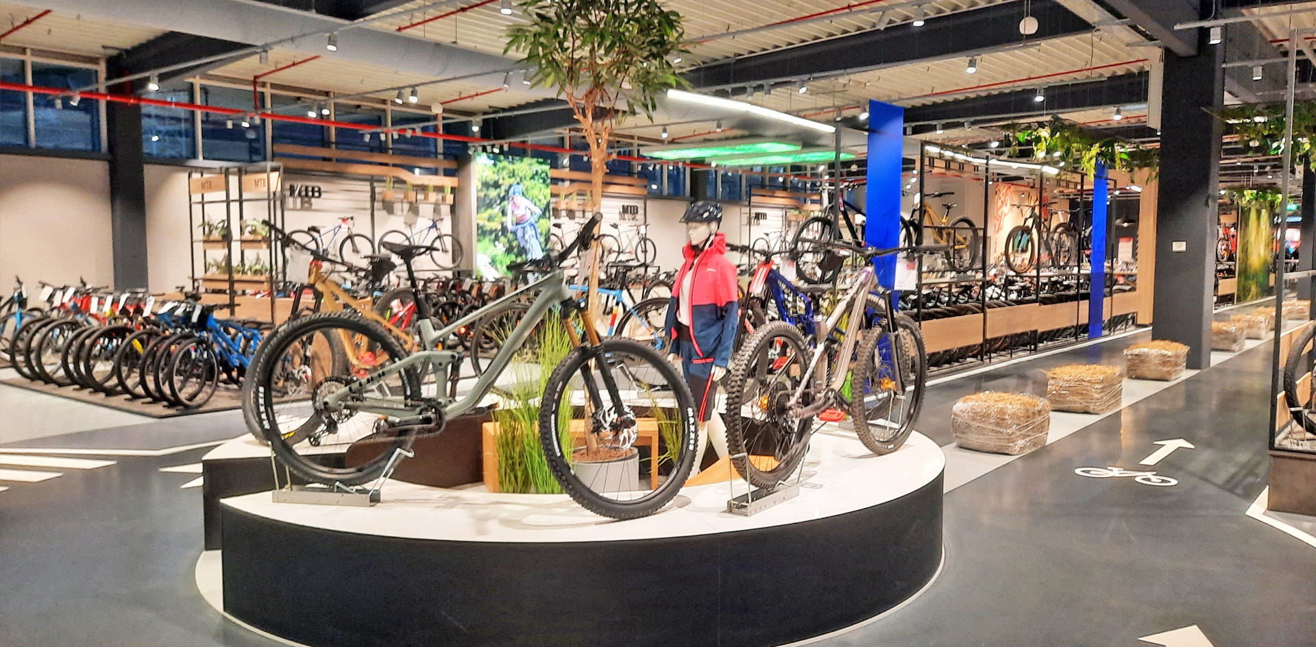 Fahrrad XXL Walcher Deizisau Dekopodest