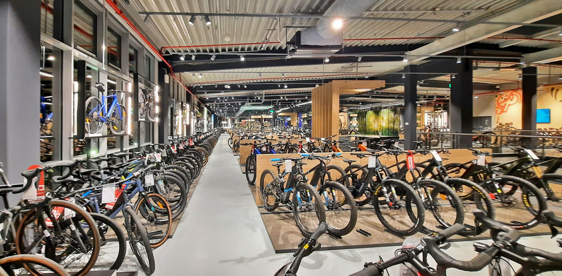 Fahrrad XXL Walcher Deizisau Grossraum