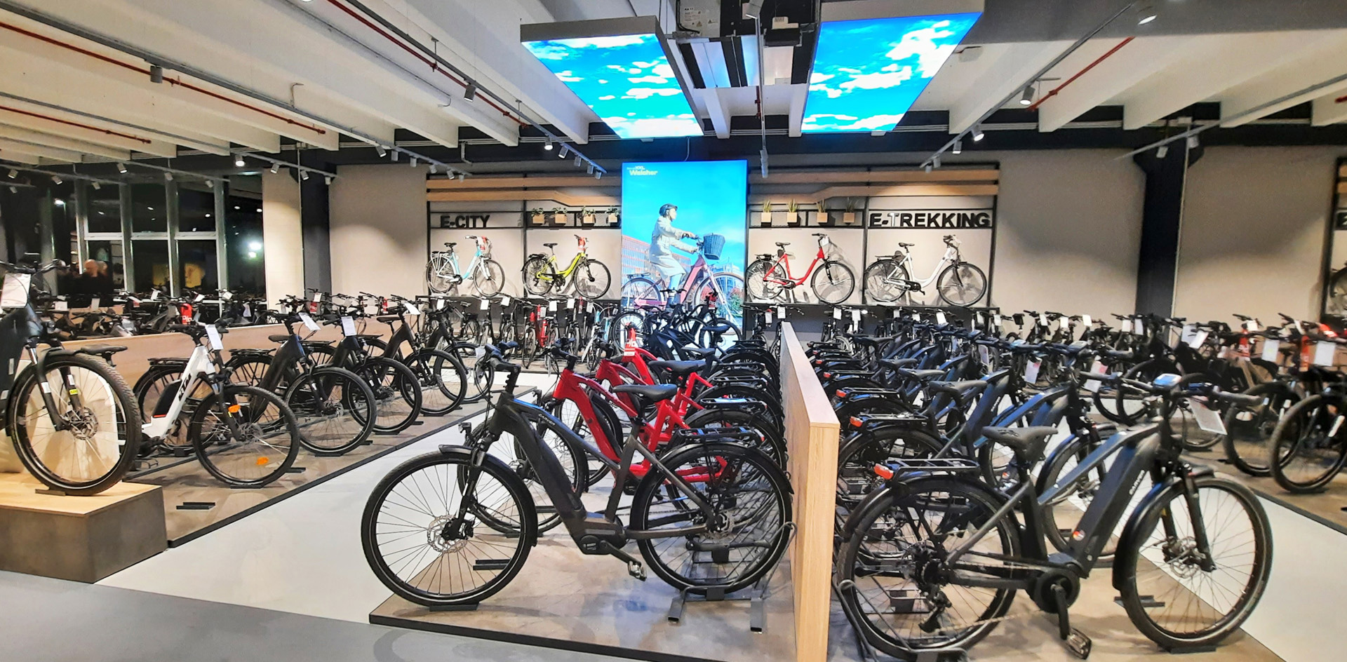 Fahrrad XXL Walcher Deizisau E-bike